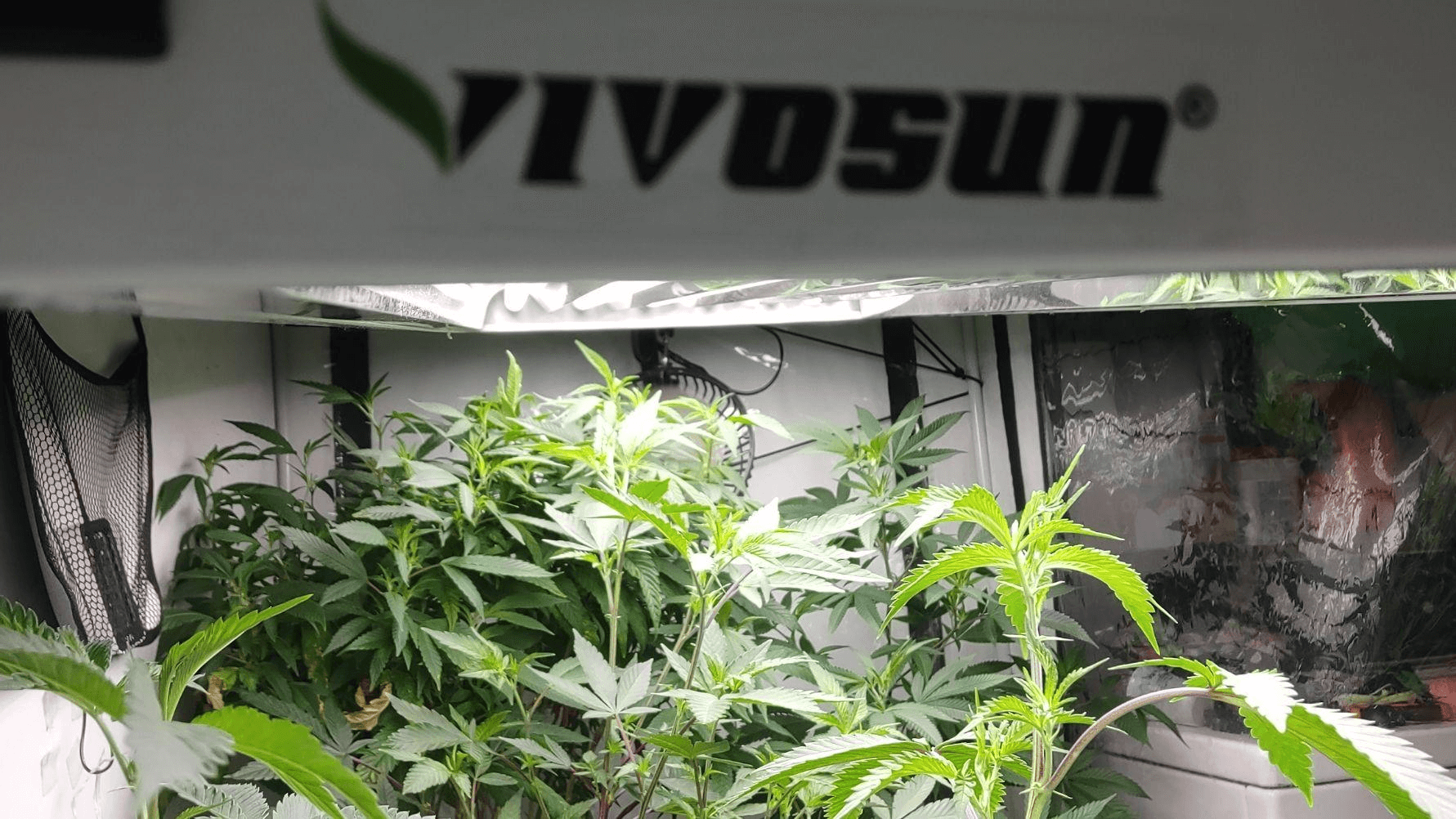 VIVOSUN 6500K T5 HO Fluorescent Grow Light