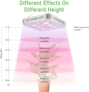 Different Effects On Different Height