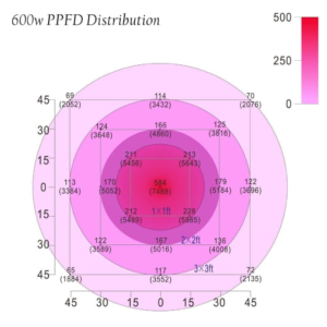 PPFD Distribution